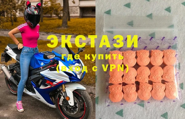 ECSTASY Бородино